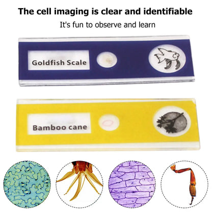 BowLift | Portable HD Optical Adventure Microscope