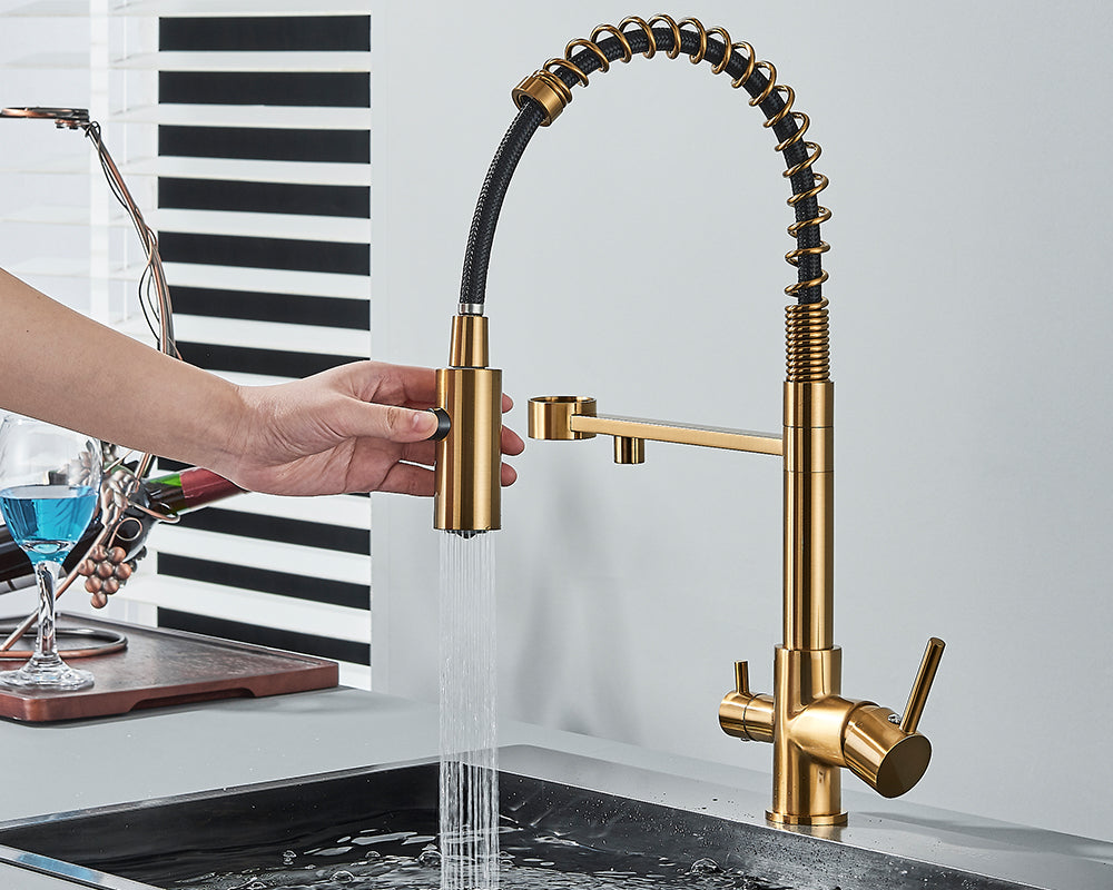Sandsberg Black Filter Kitchen Faucet with Double Outlet – Mixer Tap with Water Filter for Kitchen, Water Treatment and Cleaning | Skanto