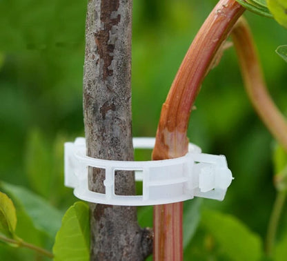 BowLift | Green Garden Safe Plant Support Clips