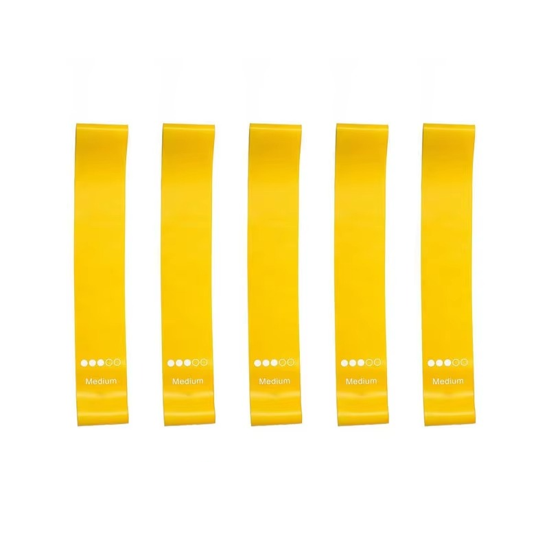 Skanto | Resistance Band Fitness Set for Strength Training and Full Body Workout