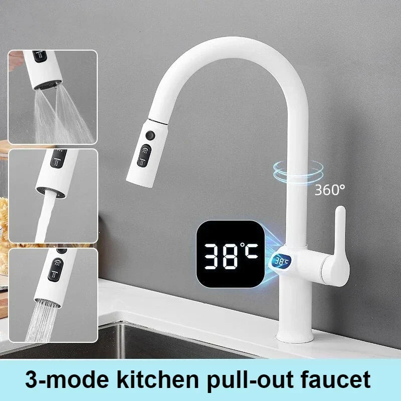 Skanto | Pull-out Kitchen Faucet with Digital Display and Swivel Spout