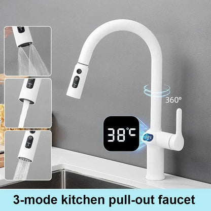 Skanto | Pull-out Kitchen Faucet with Digital Display and Swivel Spout