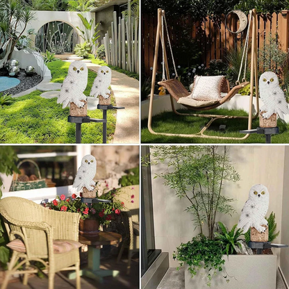 Environmentally friendly Solar Owl Garden Lights (2-pack)