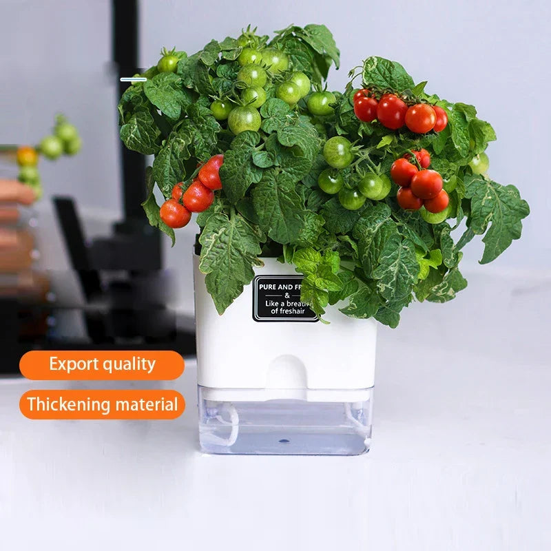 Skanto | BloomEase Plant Pot | Self-Watering & Space-Saving | With Water Level Indicator | For Indoor Plants & Herbs