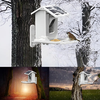Skanto | Auxco | Smart Bird Feeder with 1080P HD Camera, AI Bird Recognition & Solar Charging