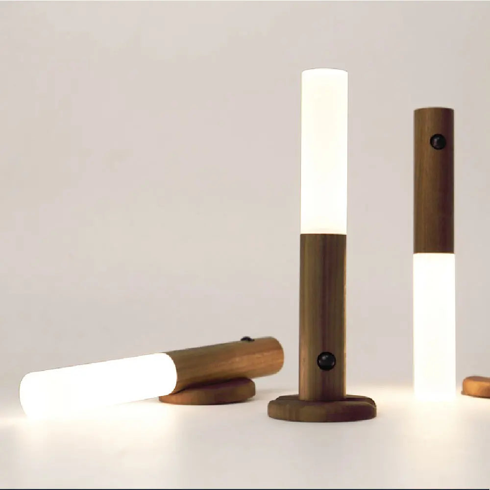 Magnetic LED Motion Sensor Night Light