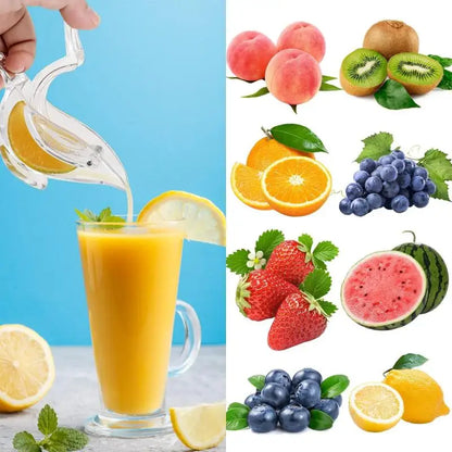 Skanto | Acrylic Lemon Squeezer