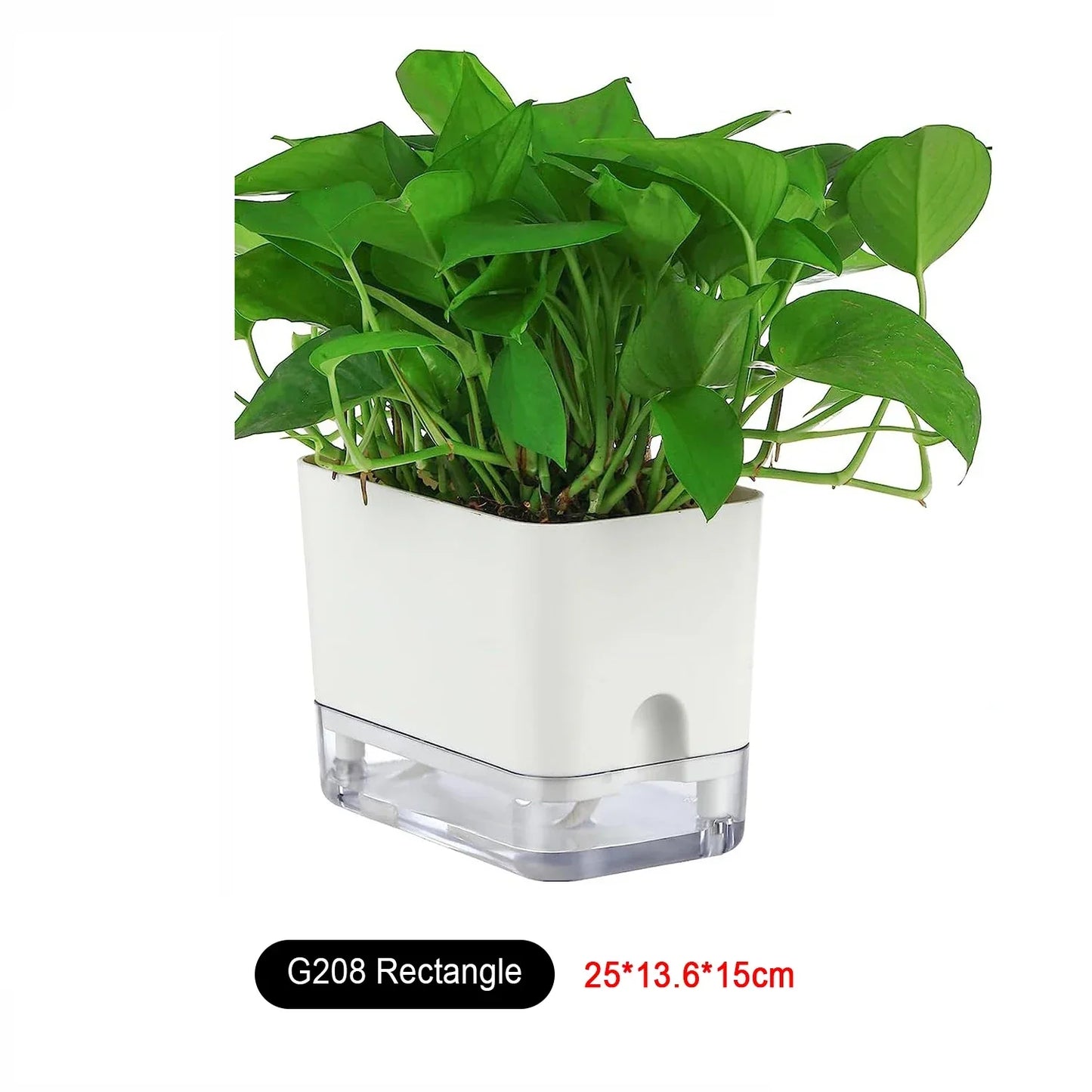 Skanto | BloomEase Plant Pot | Self-Watering & Space-Saving | With Water Level Indicator | For Indoor Plants & Herbs