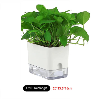Skanto | BloomEase Plant Pot | Self-Watering & Space-Saving | With Water Level Indicator | For Indoor Plants & Herbs