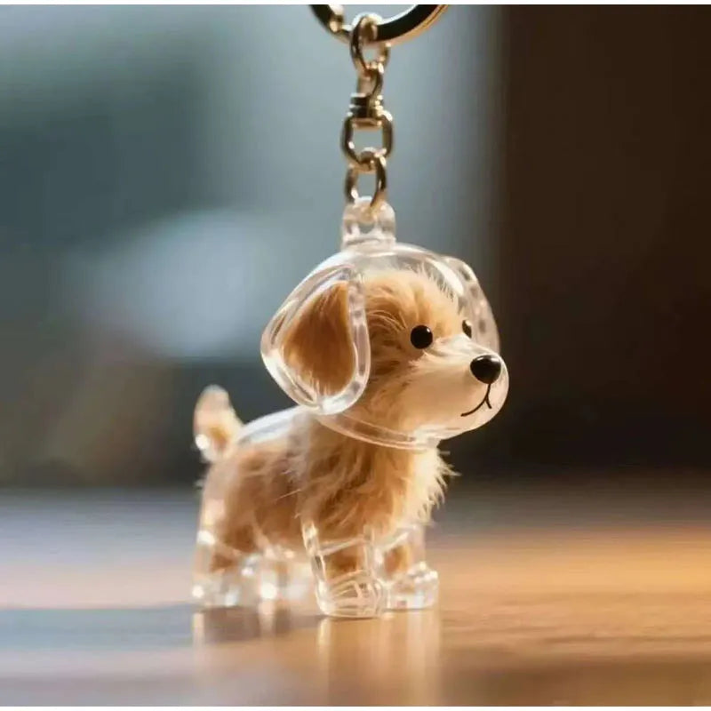 Transparent fur memory tag Bowlift
