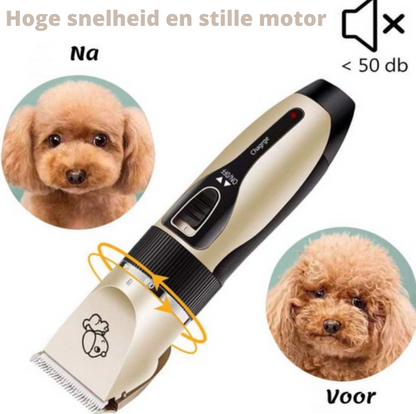 Professional Dog Groomer + Brush Skanto