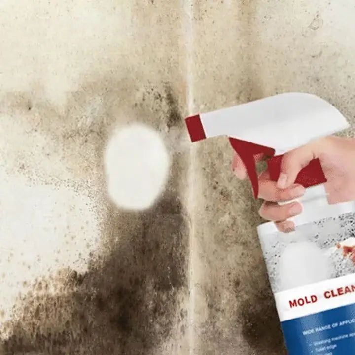 BowLift | Mold Remover Foam Spray