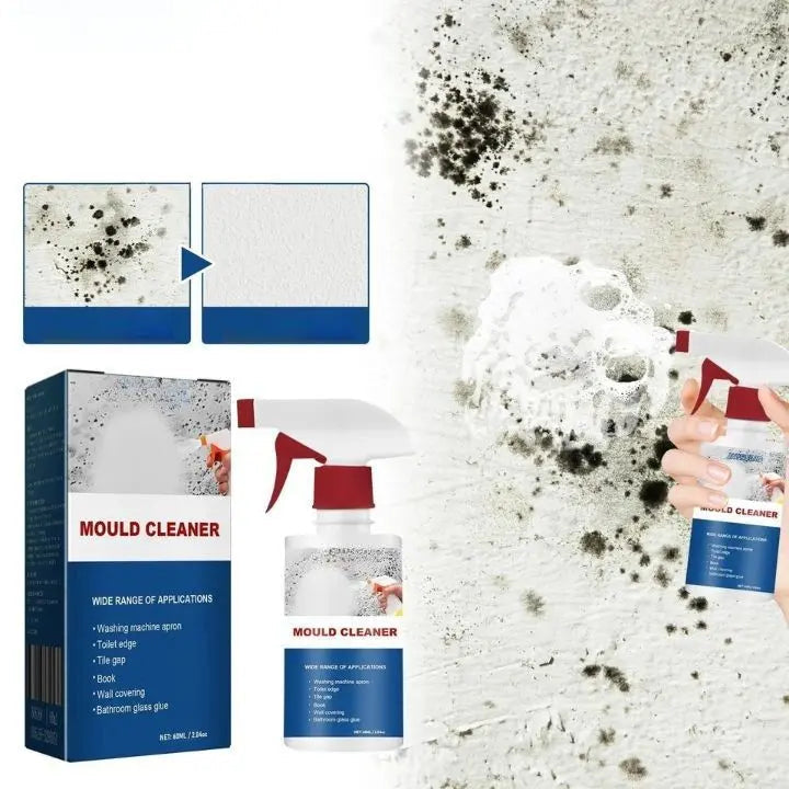 BowLift | Mold Remover Foam Spray