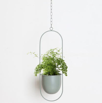 Skanto | FloraFrame – Elegant Metal Plant Holder for Wall or Ceiling