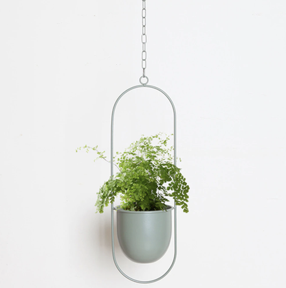 Skanto | Wall-Mounted Metal Plant Holder – FloraFrame
