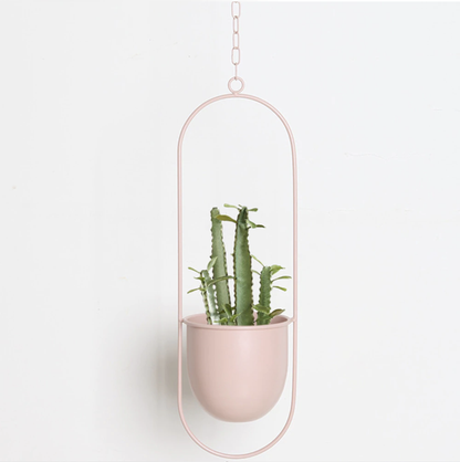 Skanto | Wall-Mounted Metal Plant Holder – FloraFrame