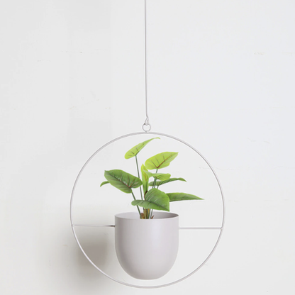 BowLift | Wall Hanging Metal Plant Holder – FloraFrame