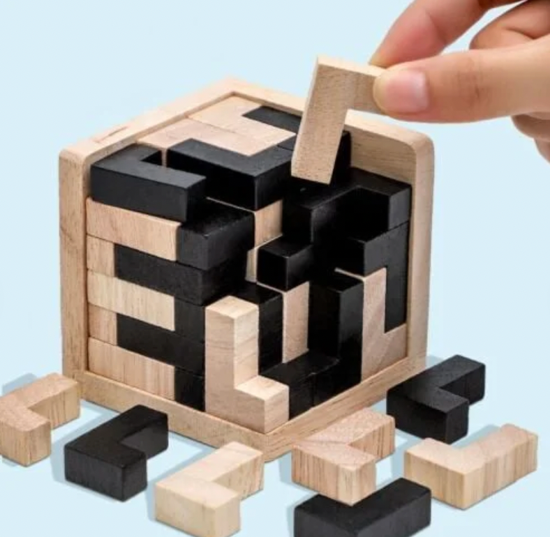 Wooden intelligence toy Brain teaser game | Karnz