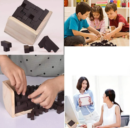 Wooden intelligence toy Brain teaser game | Karnz