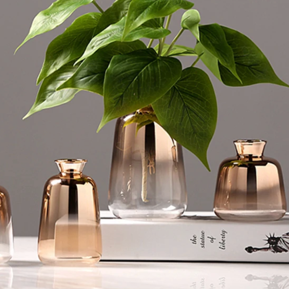 Gradient Vases Bowlift