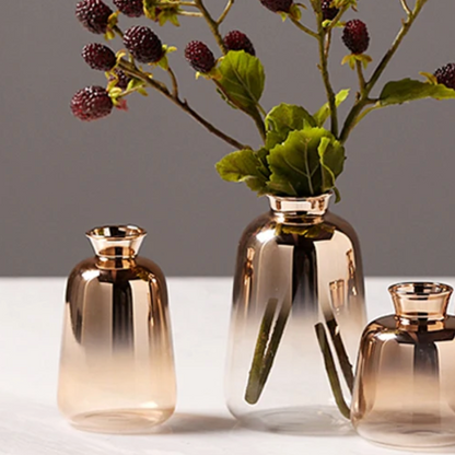 Gradient Vases Bowlift
