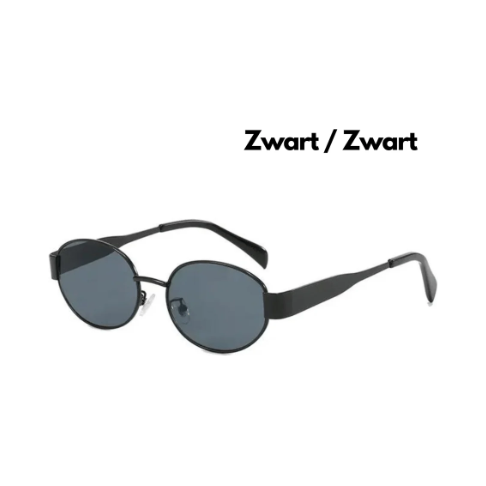 Exclusive Design 2024 Women's Sunglasses for the fashion-conscious woman | Brehn