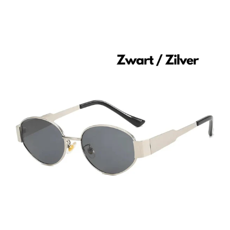 Exclusive Design 2024 Women's Sunglasses for the fashion-conscious woman | Brehn