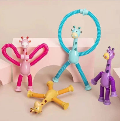 Skanto | StretchPets™ Endless Play Possibilities