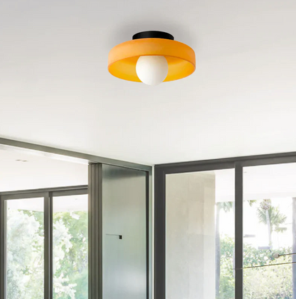 Round Flush Mount Ceiling & Wall Fixture