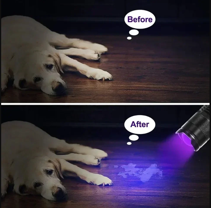 Skanto | UV LED Flashlight – Ultraviolet Light for Stain Detection and Pet Urine