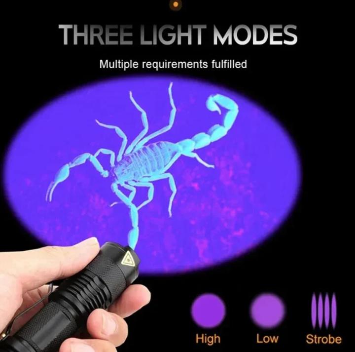 Skanto | UV LED Flashlight – Ultraviolet Light for Stain Detection and Pet Urine