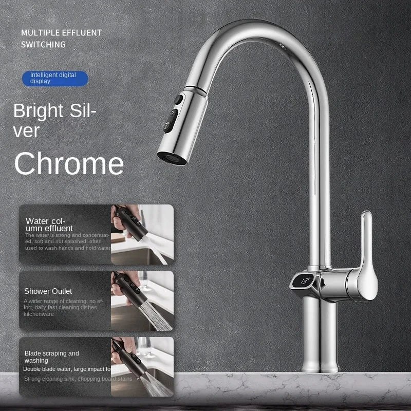 Skanto | Pull-out Kitchen Faucet with Digital Display and Swivel Spout
