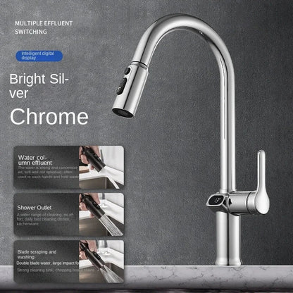 Skanto | Pull-out Kitchen Faucet with Digital Display and Swivel Spout