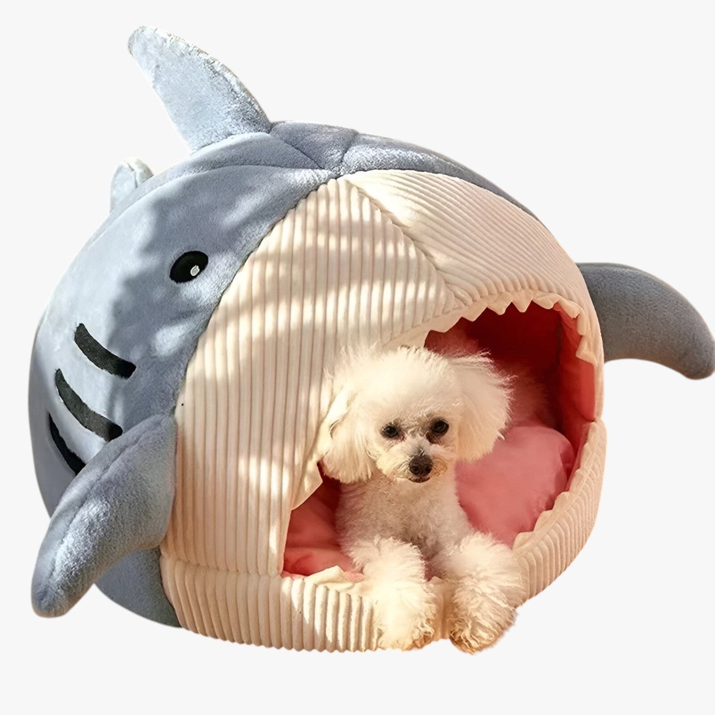 BowLift | SoftBloom Shark Cat Bed – Cozy Hideaway for Indoor