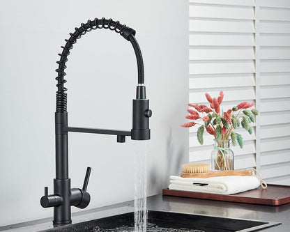 Sandsberg Black Filter Kitchen Faucet with Double Outlet – Mixer Tap with Water Filter for Kitchen, Water Treatment and Cleaning | Skanto