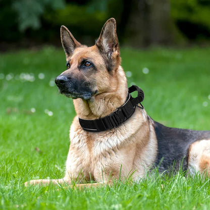 Skanto | Military Dog Training Collar – Durable, Reflective Nylon Collar