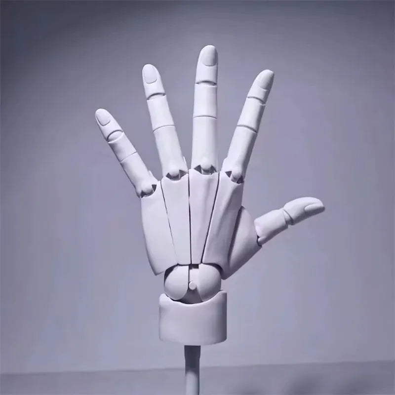 Multi-Pose Drawing Sculpting Art Hand Model | Bowlift