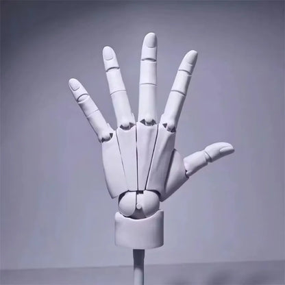 Multi-Pose Drawing Sculpting Art Hand Model | Bowlift