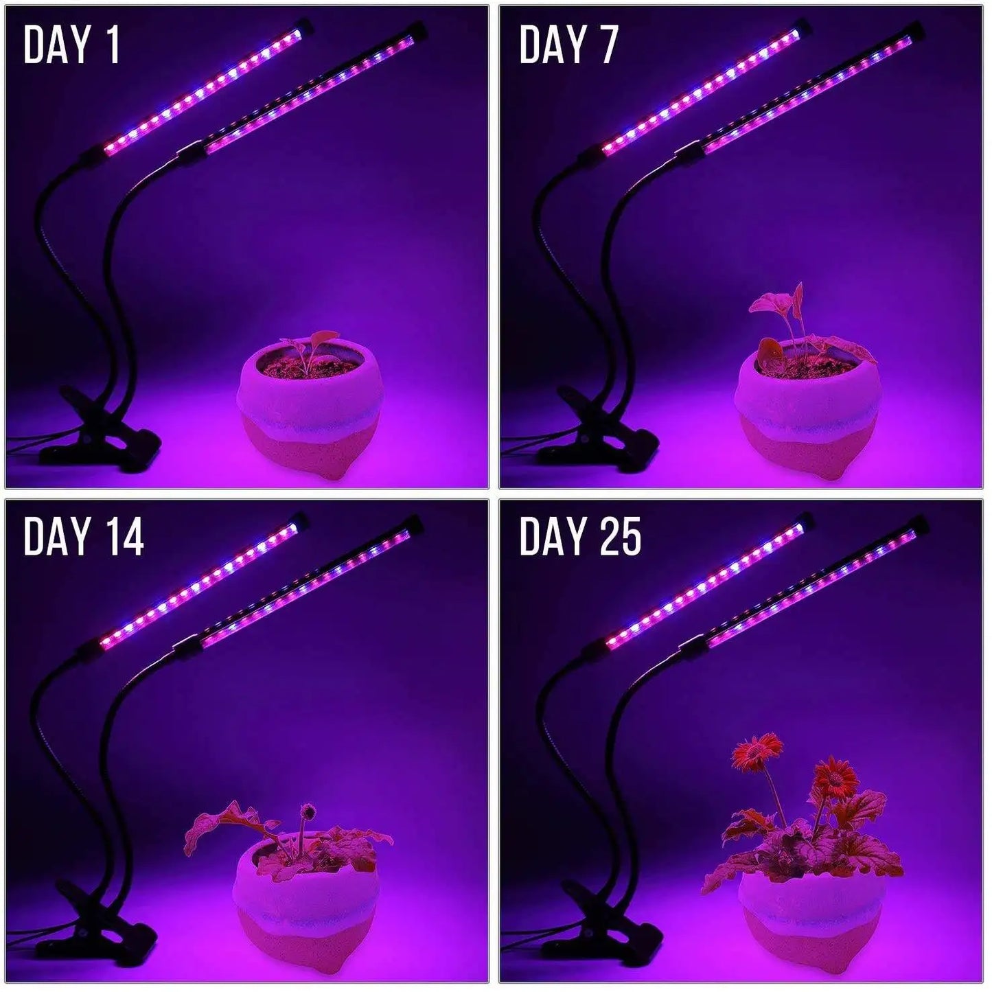 BowLift | LumiPlant LED Plant Light | USB Grow Light | 1–4 Heads | Dimmable with Timer