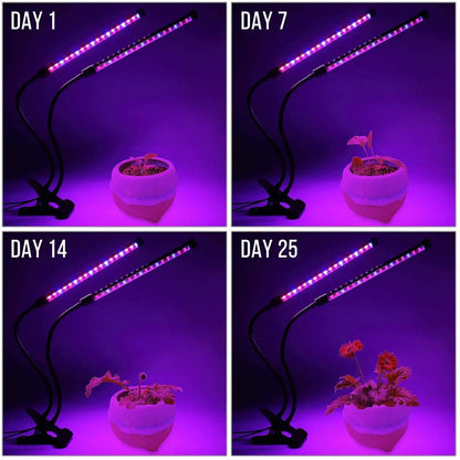 BowLift | LumiPlant LED Plant Light | USB Grow Light | 1–4 Heads | Dimmable with Timer