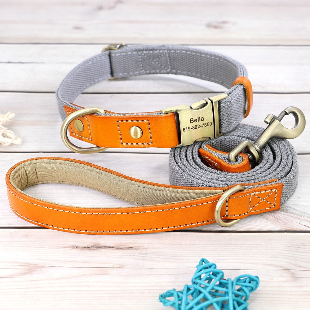 Skanto | Custom Dog Collar - Leash Set