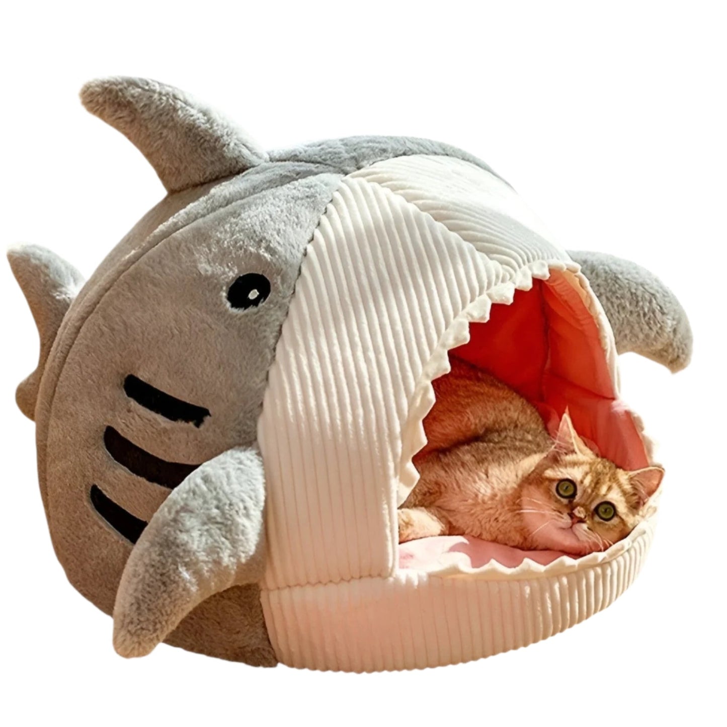 BowLift | SoftBloom Shark Cat Bed – Cozy Hideaway for Indoor