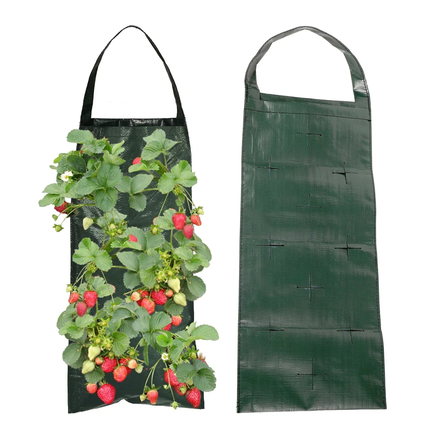 BowLift | VertiBloom Wall Planting Bag for Strawberries & Herbs | 6/8/10 Pockets | Vertical Garden Planting Bag made of PE for Indoor & Outdoor