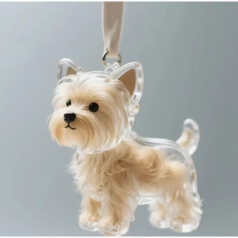 Transparent fur memory tag Bowlift