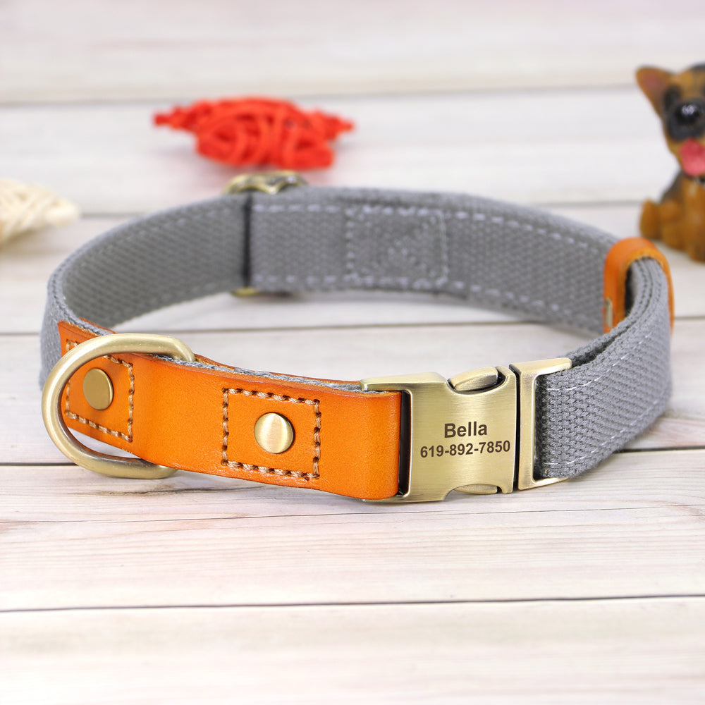 Skanto | Custom Dog Collar - Leash Set