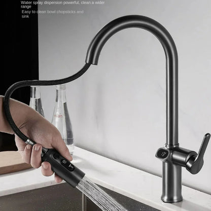 Skanto | Pull-out Kitchen Faucet with Digital Display and Swivel Spout