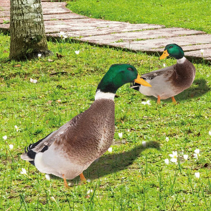 DuoDuck Realistic Double-Sided Gray Feather Sculpture Bowlift