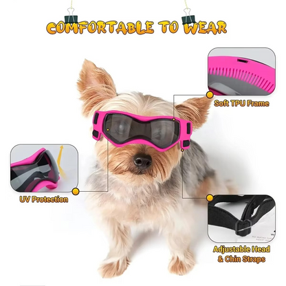 BowLift | Protective UV Sunglasses for Small Dogs with Adjustable Straps