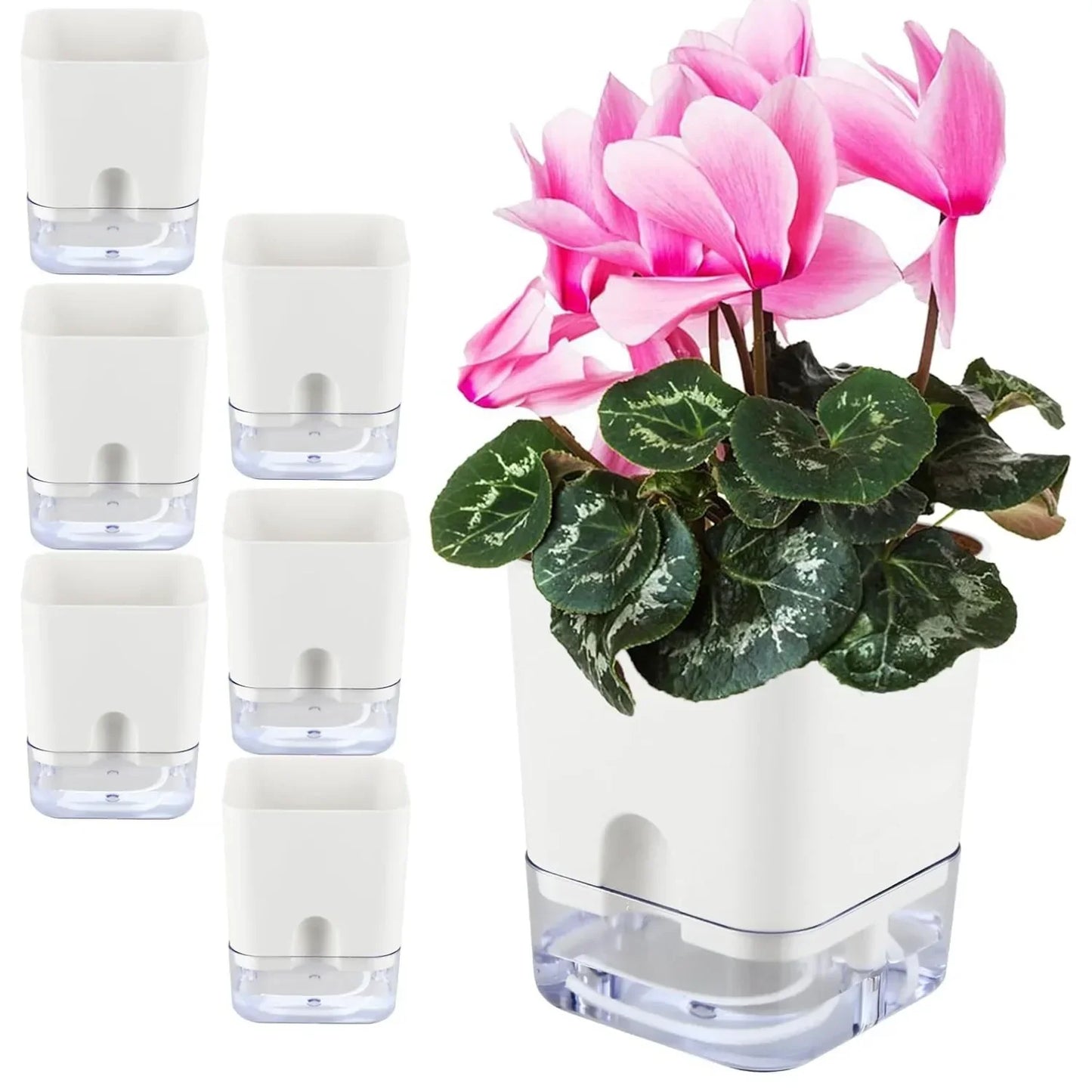 Skanto | BloomEase Plant Pot | Self-Watering & Space-Saving | With Water Level Indicator | For Indoor Plants & Herbs