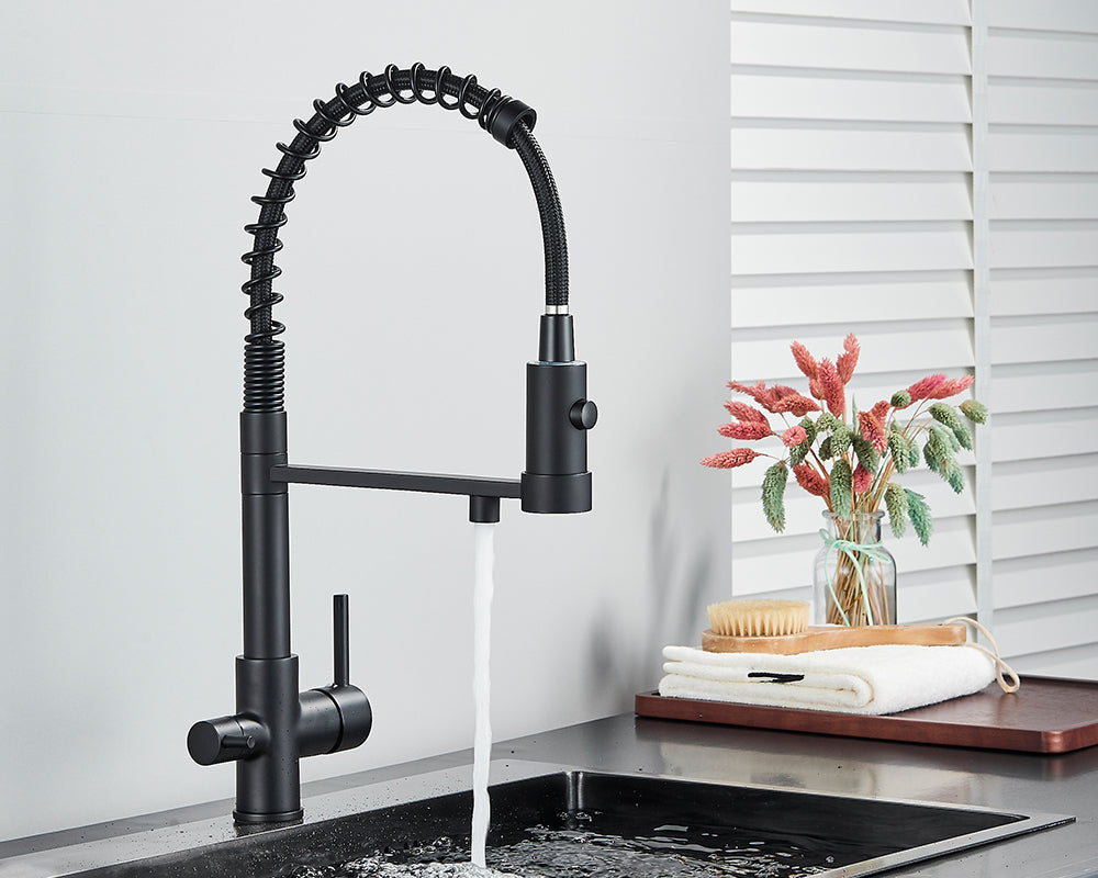 Sandsberg Black Filter Kitchen Faucet with Double Outlet – Mixer Tap with Water Filter for Kitchen, Water Treatment and Cleaning | Skanto